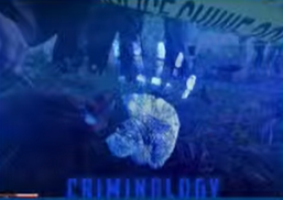 BS Criminology